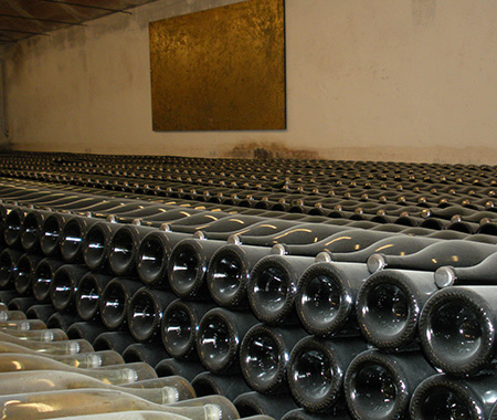 Zona invecchiamento della cantina Bellei, dove i vini vengono posti a invecchiare e fermentare per anni